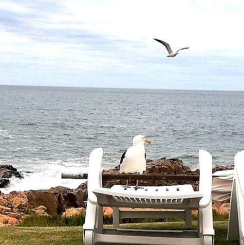 Beacon Island Resort Plettenberg Bay Extérieur photo